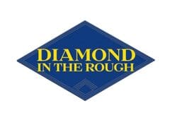 Diamond In The Rough